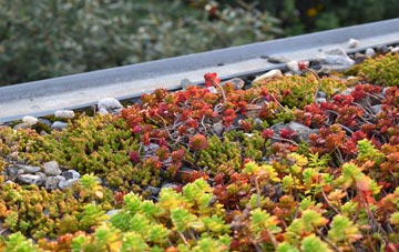 the cost of Cholsey green roof installation