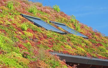 Cholsey living roof systems