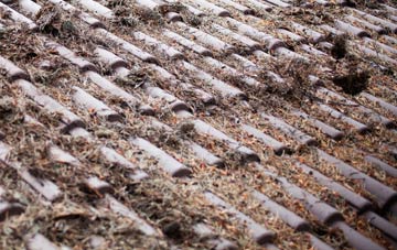 Cholsey roof cleaning companies