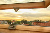 rated Cholsey roof window companies